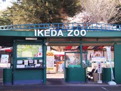 池田動物園の写真